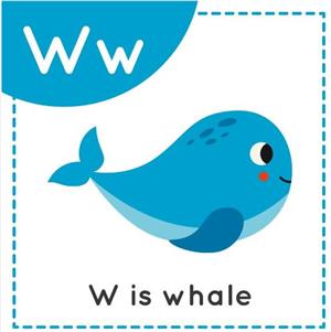 whale